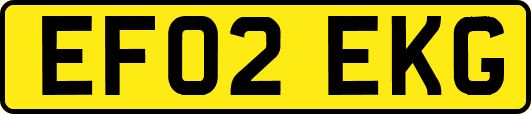 EF02EKG