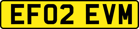 EF02EVM