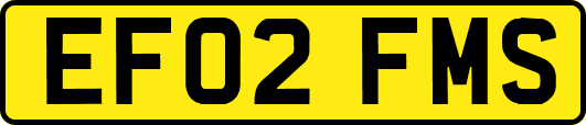 EF02FMS