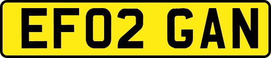 EF02GAN