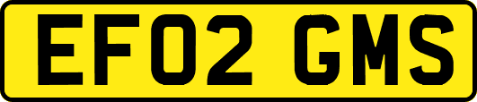 EF02GMS