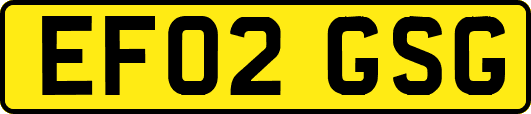 EF02GSG