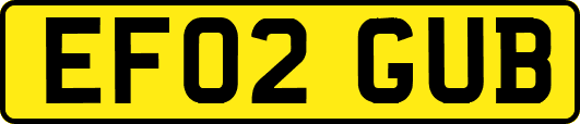 EF02GUB
