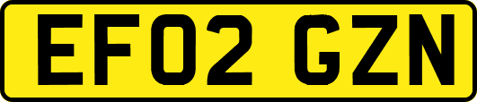EF02GZN
