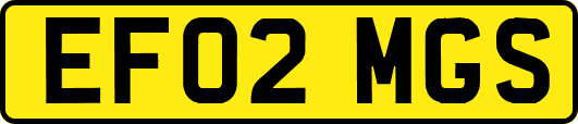 EF02MGS