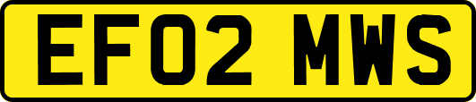 EF02MWS