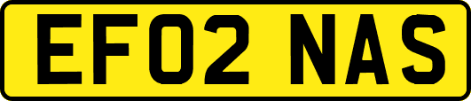 EF02NAS