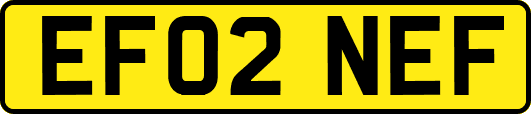 EF02NEF