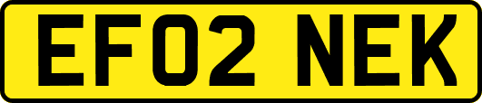 EF02NEK