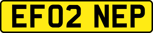 EF02NEP