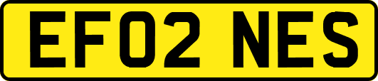 EF02NES
