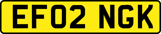 EF02NGK