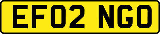 EF02NGO