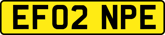 EF02NPE
