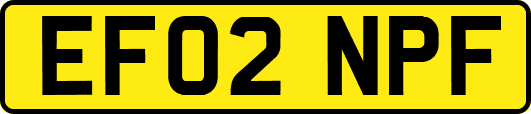 EF02NPF