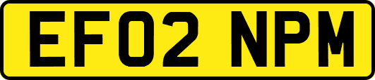 EF02NPM