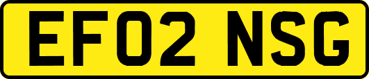 EF02NSG