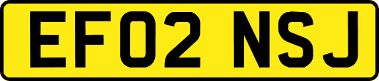 EF02NSJ