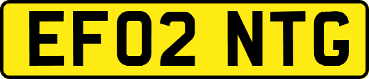 EF02NTG