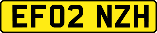 EF02NZH