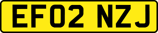 EF02NZJ