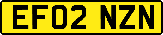 EF02NZN
