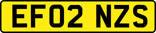 EF02NZS