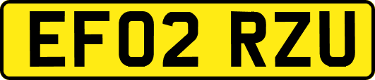EF02RZU