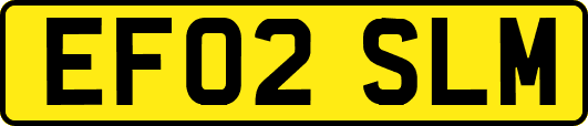 EF02SLM