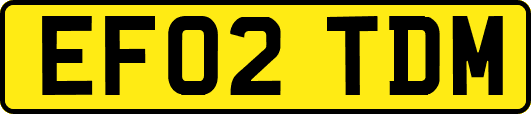 EF02TDM