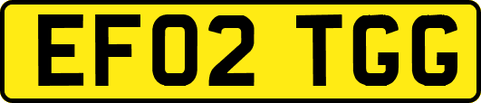 EF02TGG