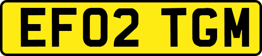 EF02TGM