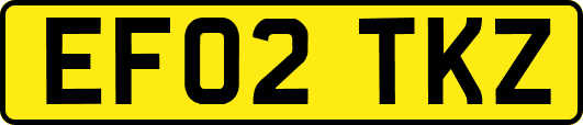 EF02TKZ
