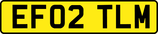EF02TLM
