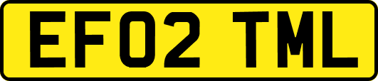 EF02TML