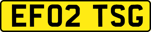EF02TSG