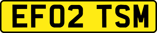 EF02TSM