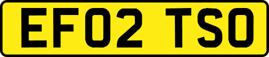 EF02TSO