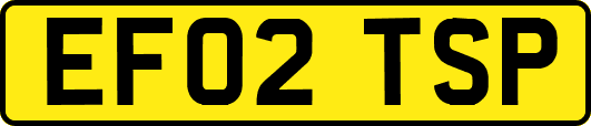 EF02TSP