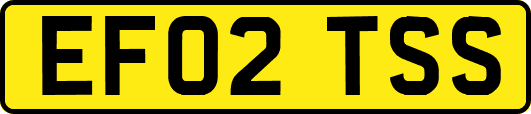 EF02TSS