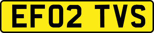 EF02TVS