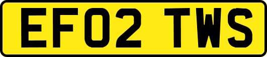EF02TWS