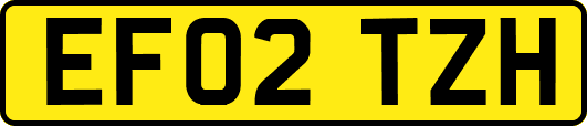EF02TZH