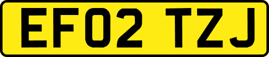 EF02TZJ