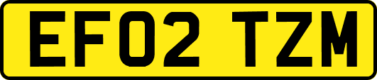 EF02TZM