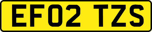 EF02TZS