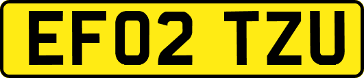 EF02TZU