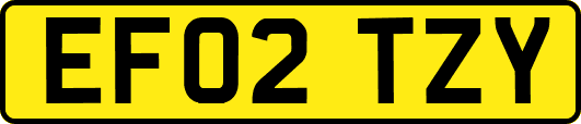 EF02TZY