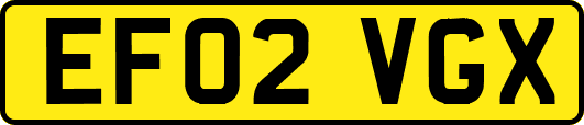 EF02VGX