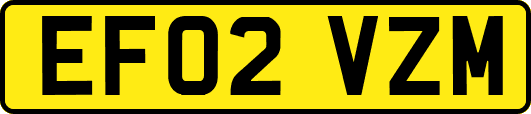 EF02VZM